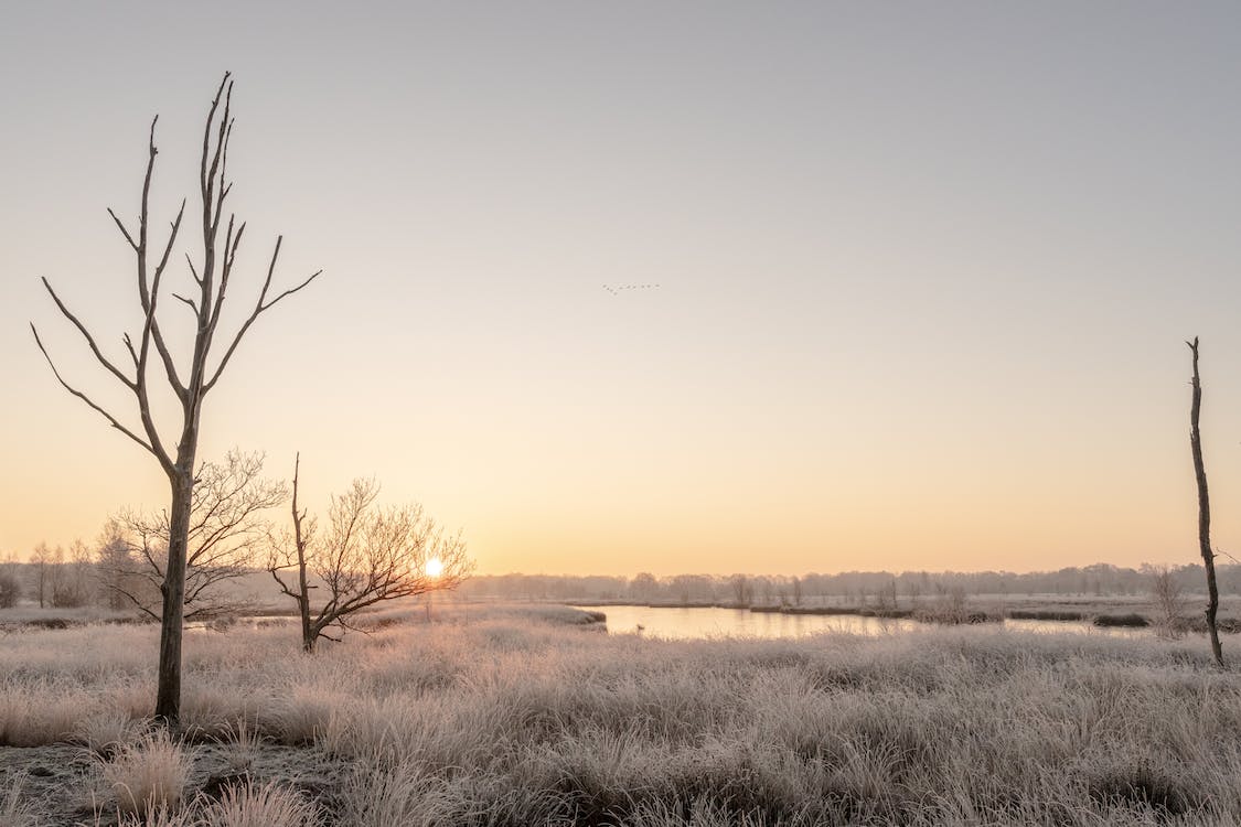 Mooiste natuurgebieden Nederland