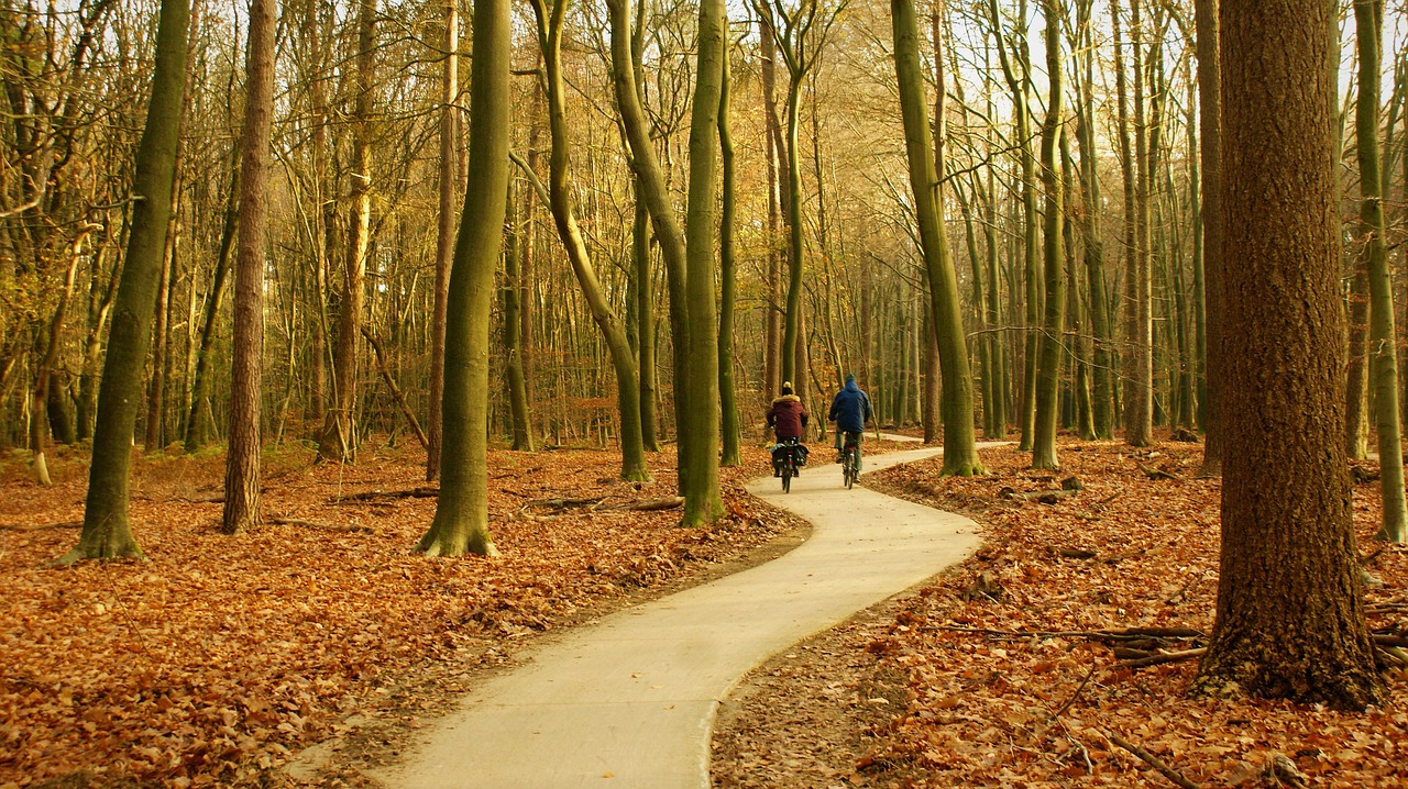 Voordelen van vakantie in de natuur