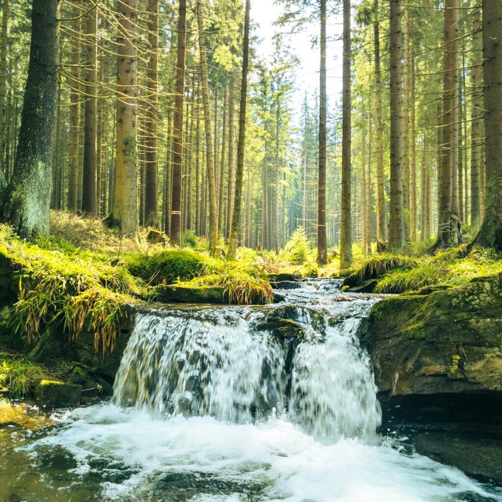 Natuur in Tsjechië